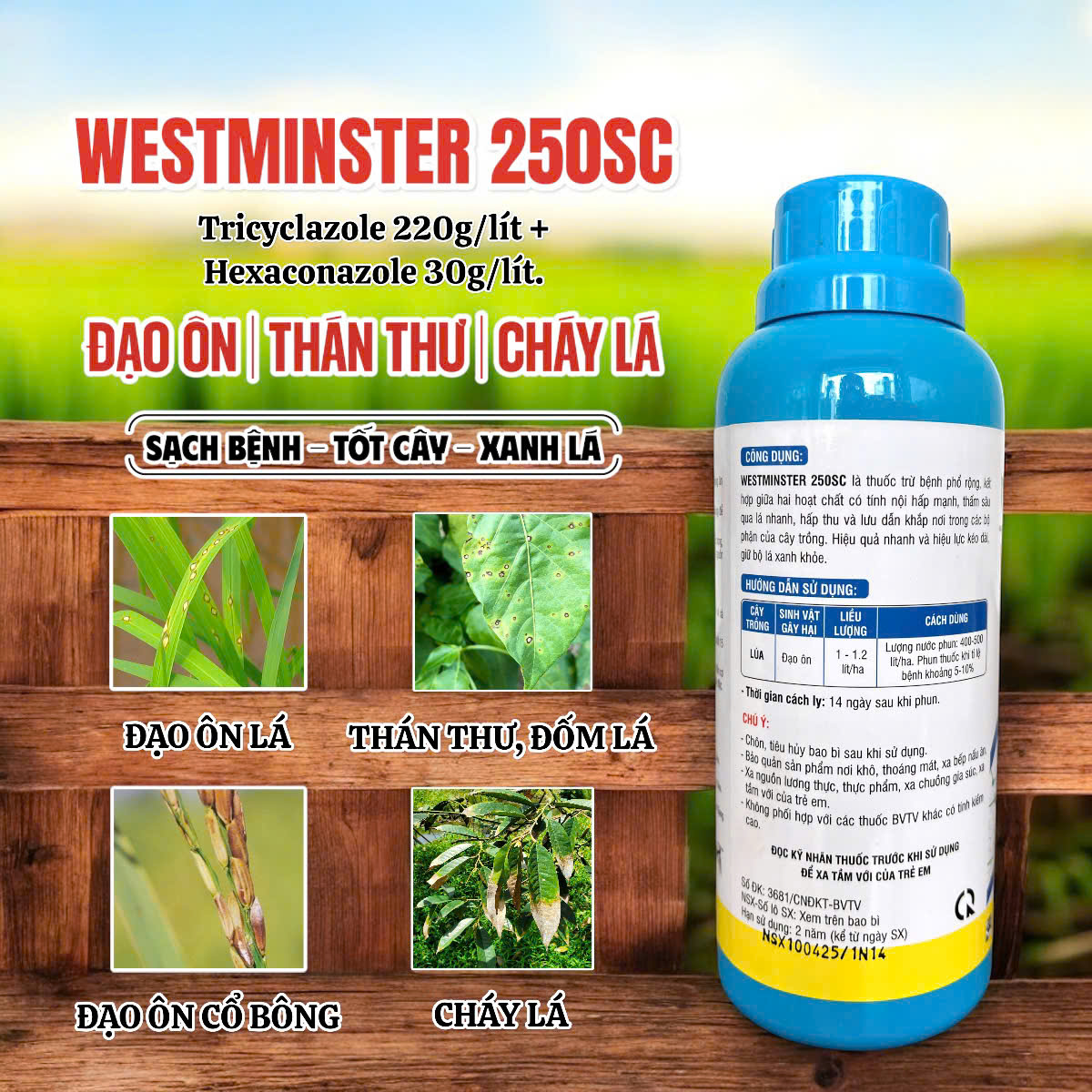 Westminster 250SC - Chai 450ml
